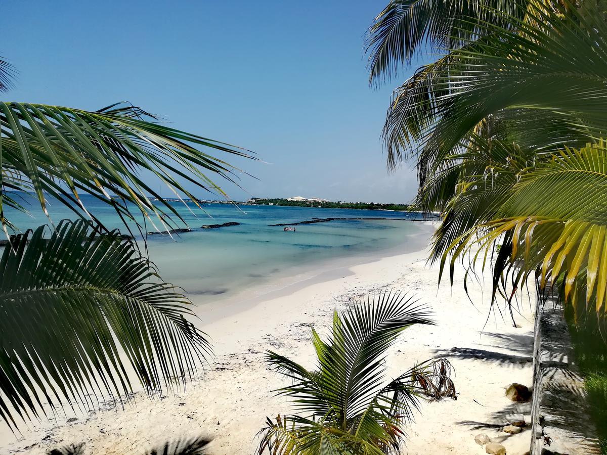 Villas Picalu Lodge 푸에르토 아벤투라스 외부 사진