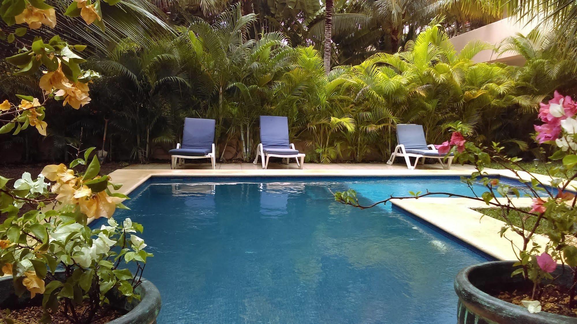 Villas Picalu Lodge 푸에르토 아벤투라스 외부 사진